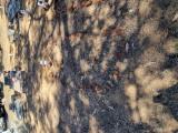 image of grave number 968526